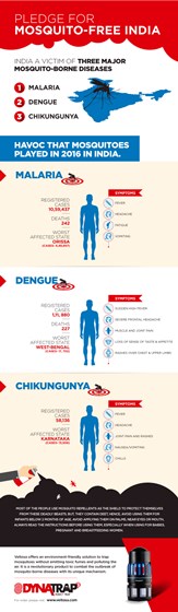 Infographic: Pledge for Mosquito-free India